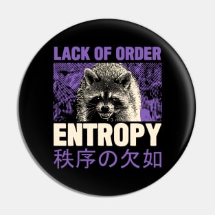 Entropy Raccoon Pin