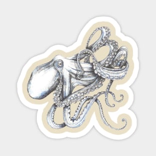 Octopus, on cream, a tangle of tentacles! Magnet