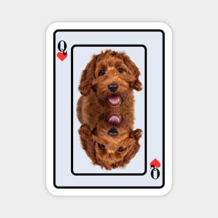 Labradoodle Magnet