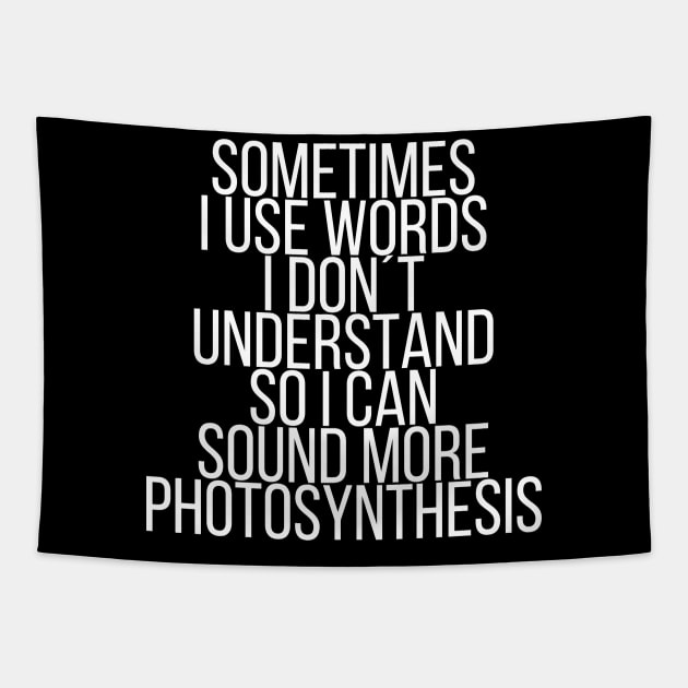 Sometimes I use words I dont understand Tapestry by StraightDesigns