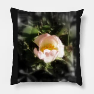 old-fashioned roses by Fox Creek & Columbia River 13 Pillow