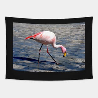 Flamingo, Bolivia Tapestry