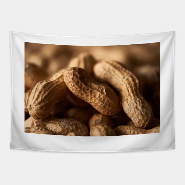 Dried whole peanuts Tapestry by naturalis