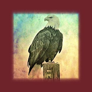 Eagle on a Pole T-Shirt