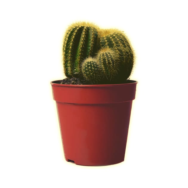 Pocket Potted Cactus by charlescheshire