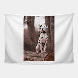 Dalmatian Dog Tapestry