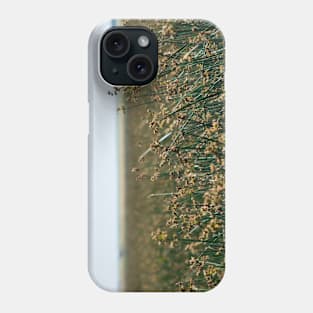 Prairie Scene in the Foothills. Phone Case