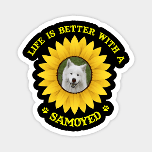 Samoyed Lovers Magnet