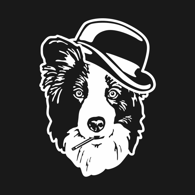 Border Collie Wise Guy by Tuff Breeds