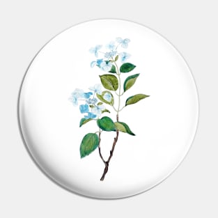 vintage blue hydrangea flowers Pin