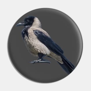 Side Profile Of A Magnificent Hooded Crow Pin