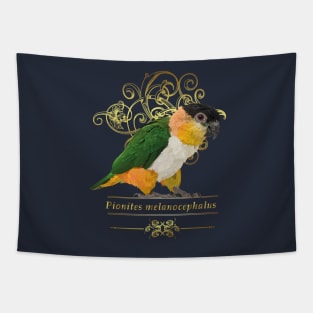 black headed caique Tapestry