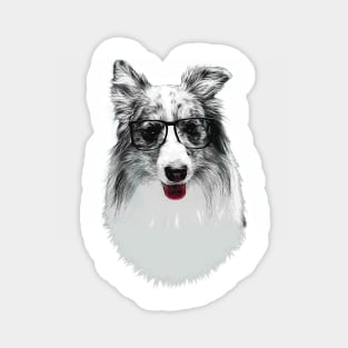 Smart Border Collie Dog with Glasses Magnet