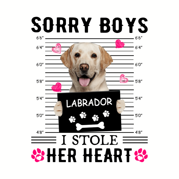 Yellow Labrador Sorry Boys I Stole Her Heart Valentine by PlumleelaurineArt