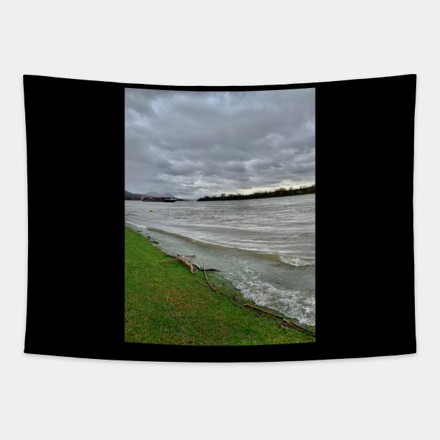 Rhine River - Taken in Bonn Cologne Tapestry by isstgeschichte