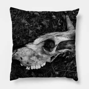 Dead cow bnw skull Pillow