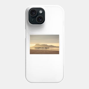 Golden light at beach in Borneo Bako national park Malaysia Phone Case