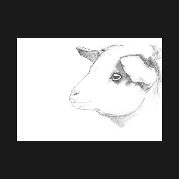 Goat pencil drawing greeting card by Nicole Janes by nicolejanes