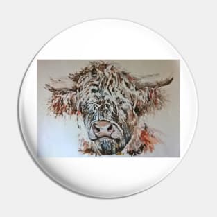 highland coo! Pin