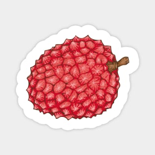 Ripe Red Lychee Magnet