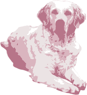 Pink Golden Retriever Magnet