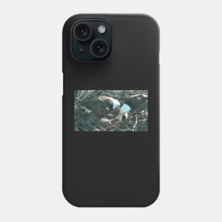 US Bald Eagles - Our National Bird VII Phone Case