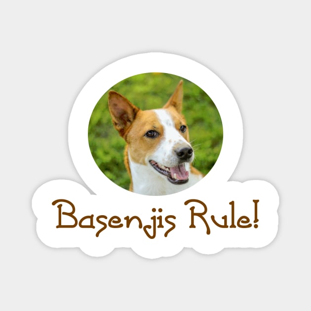 Basenjis Rule! Magnet by Naves
