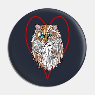 Ragamuffin Cat Pin