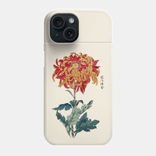 Chrysanthemum Antique Japanese Botanical Illustration Phone Case