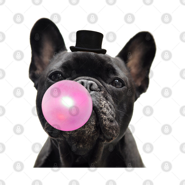 Funny french bulldog by Collagedream