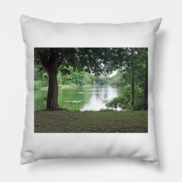 Tranquil Lake Pillow by pinkal