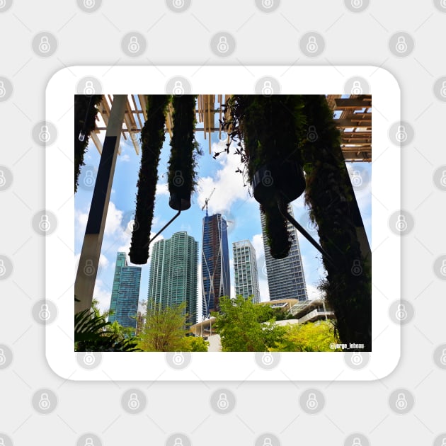 gardens in miami city the landscape of buildings Magnet by jorge_lebeau