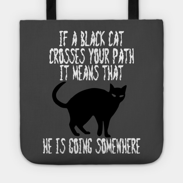 If A Black Cat Crosses Your Path It Means That He Is Going