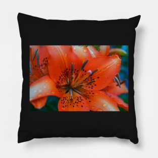 Orange Tiger Lily Pillow