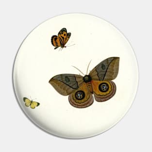 Three Butterflies by Herman Henstenburgh Pin