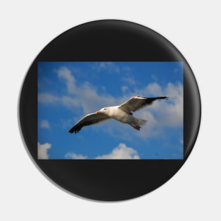 Jonathan Livingston Pin