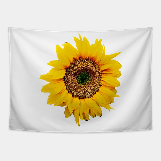 Mother's Day Sunflower Tapestry by RandomArtHouse