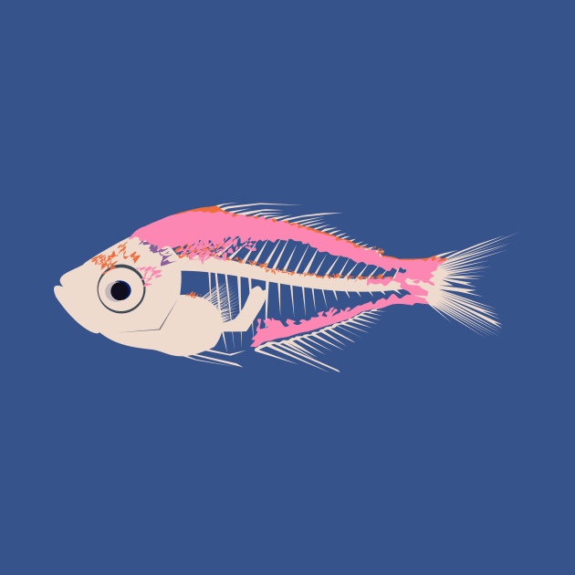 Indian Glassy Fish by stargatedalek