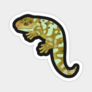 solomon islands skink Magnet