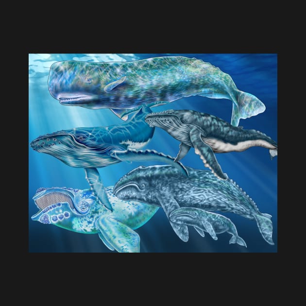 Whales by Tim Jeffs Art