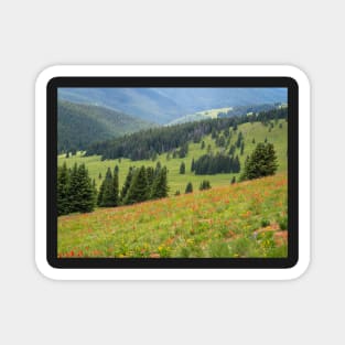 Summer in Colorado mountains Magnet