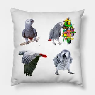 African Grey Sticker Pack Of 4 Photo Designs, great gift for African Grey Owners and Parrot Lovers. Pillow