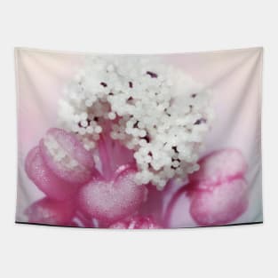 Cotton Candy Tapestry