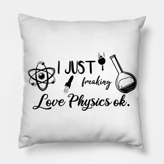 I Just Freaking Love Physics ok Pillow by SAM DLS