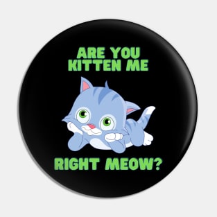 Are you kitten me right meow, Are You Kitten Meow, cat, Kitty, kitten, animal, pet, funny, cute, humorous, humour, funny cats, cute cats Pin