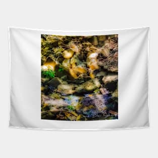 Creek Bed Tapestry
