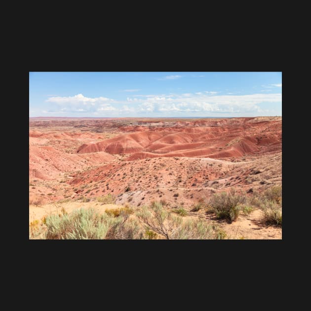 Painted Desert 2 by jvnimages