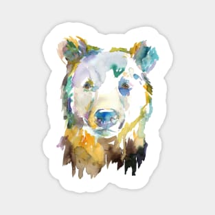 Watercolor Bear Magnet