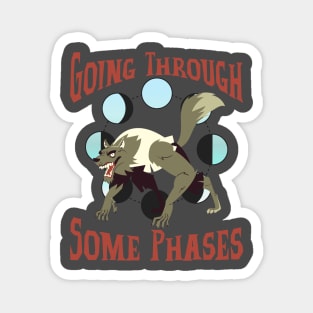 Going through some Phases Magnet