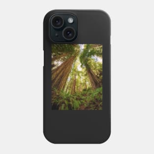 Redwood Forest Phone Case